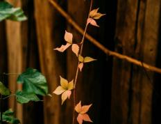 开运-亮点「十月·金秋」精彩(cǎi)活动集锦来啦~