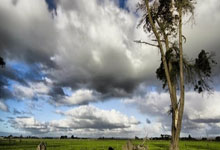 kaiyun-乒乓球亚洲杯：孙颖莎晋级決(jué)赛