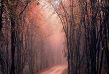 开云平台-速看！株洲客战邵阳队精彩集锦来啦~