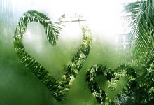 开云-南京人造羽毛球，登上国际比赛