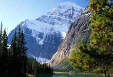 开云-南京人造羽毛球，登上国际比赛