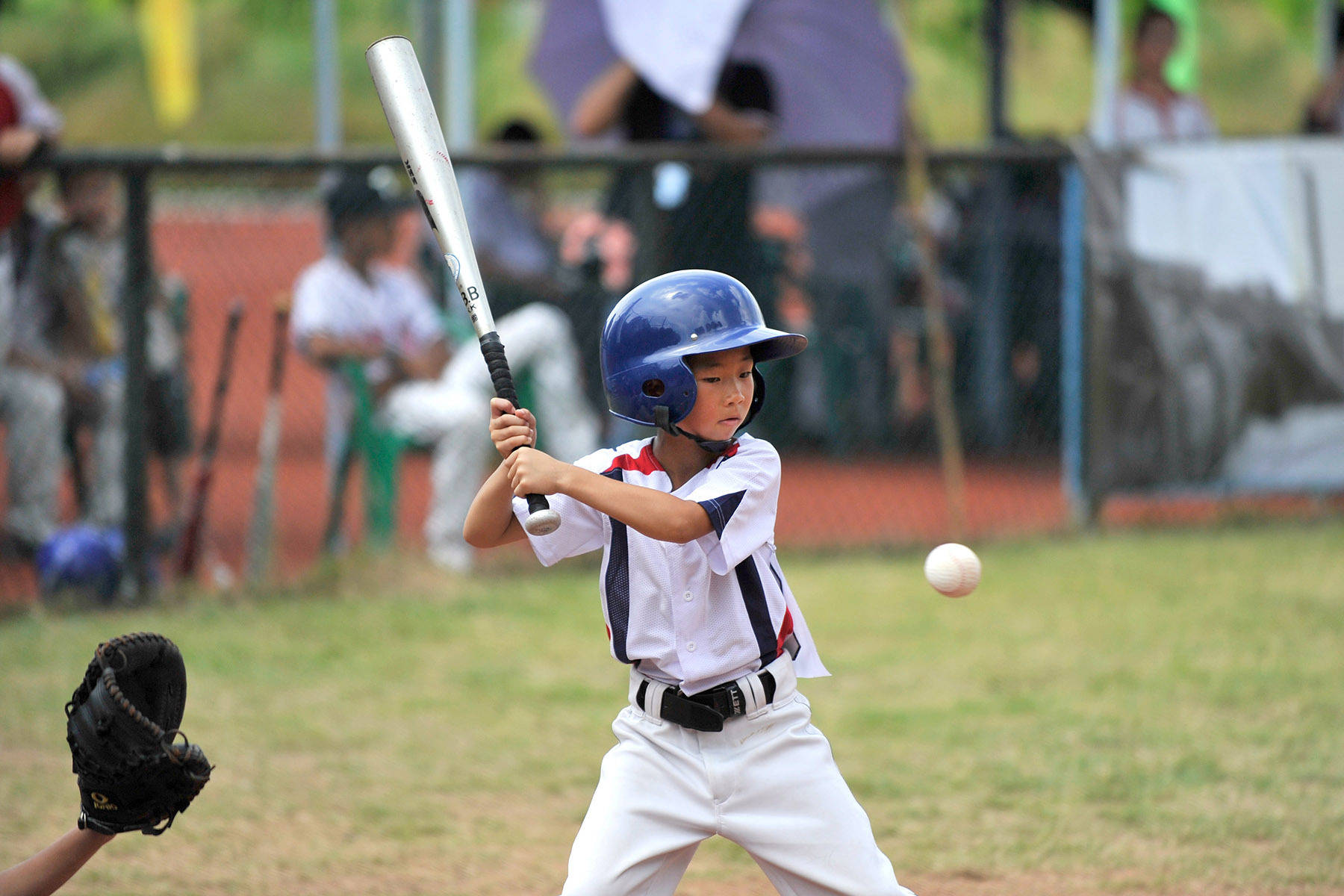 开云网址-圖(tú)集｜“棒球(qiú)之(zhī)城”中山，正全力挥出“本垒打(dǎ)”