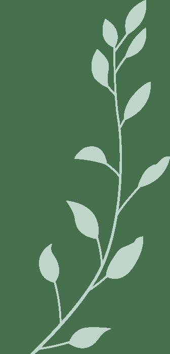 kaiyun-见面会精彩集锦新(xīn)鲜出炉！